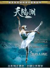 俄罗斯圣彼得堡芭蕾舞剧院《天鹅湖》2019新年巡演天津站 